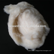 100% Pure dehaired goat cashmere fiber and tops